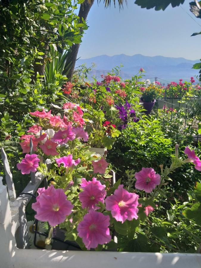 Guesthouse Villa Joanna&Mattheo ซารานเดอ ภายนอก รูปภาพ